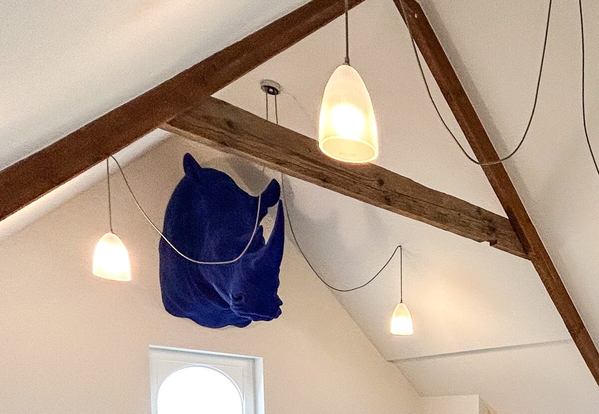 Balken en textuur at The Jacob House